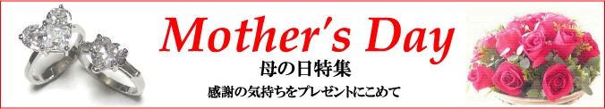 ���奨�꡼�ϡ��ȥ����ȡ��͹����Х��奨�꡼���Υ���åס�������ý�