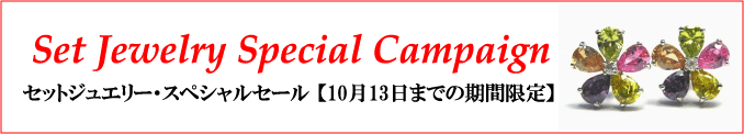 ���奨�꡼�ϡ��ȥ����ȡ��͹����Х��奨�꡼���Υ���åס����åȥ��奨�꡼������