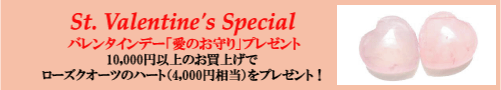 ���奨�꡼�ϡ��ȥ����ȡ��͹����Хȥ�٥롦���奨�꡼���Υ���åס��Х�󥿥���ץ쥼���